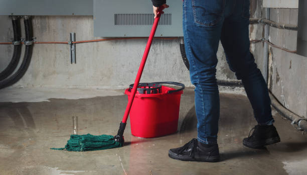 Best Ceiling water damage repair  in Baton Rouge, LA