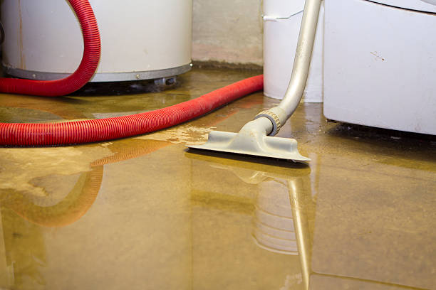 Best Water damage restoration specialists  in Baton Rouge, LA