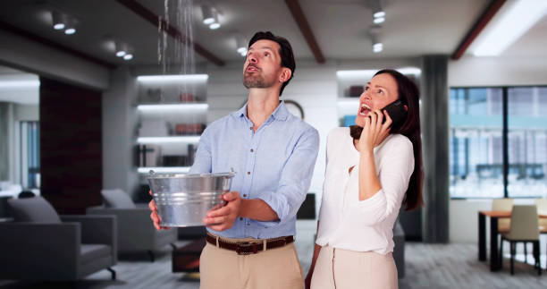 Best Professional water damage repair  in Baton Rouge, LA